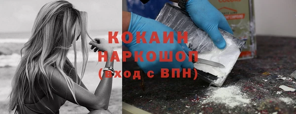 дживик Краснослободск