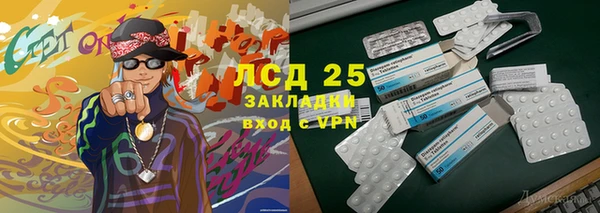 дживик Краснослободск