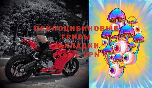 дурь Краснотурьинск
