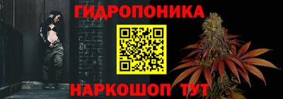 шишки Волжский