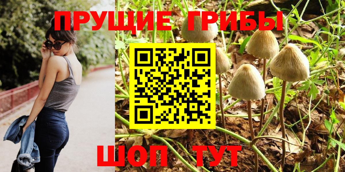 Псилоцибиновые грибы мицелий Михайловка